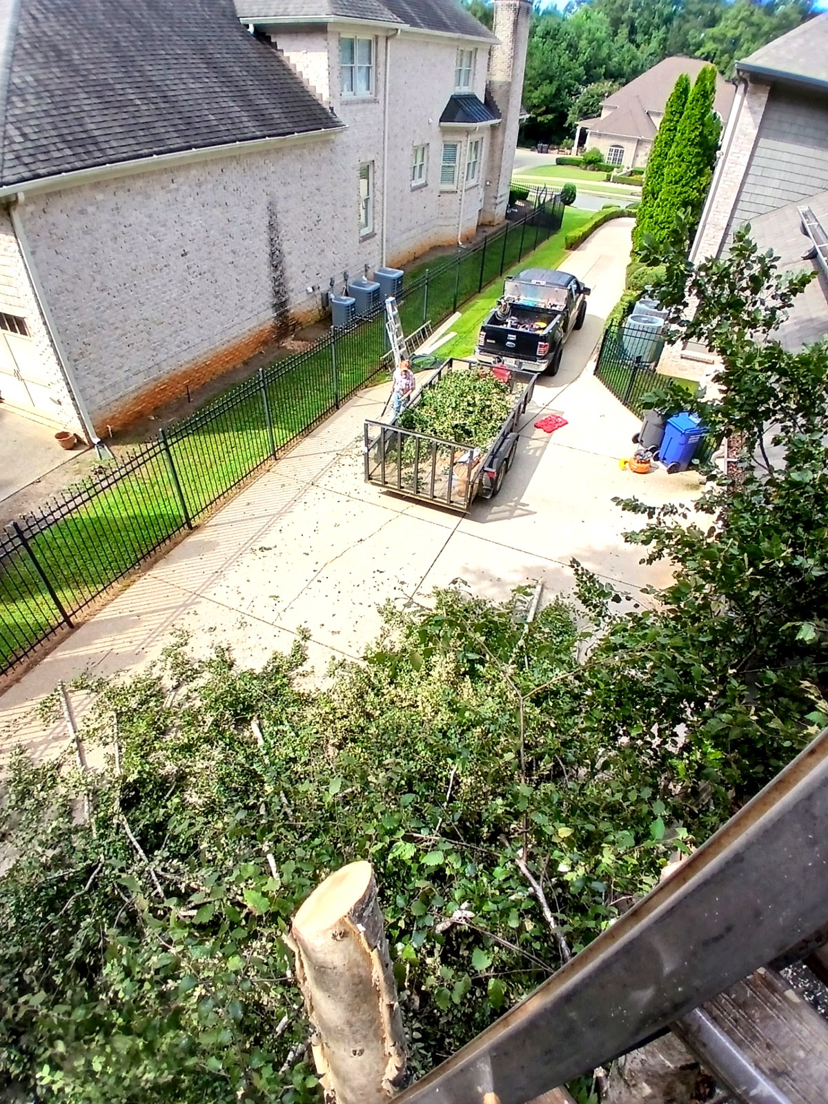 Yard cleanup & debris hauling